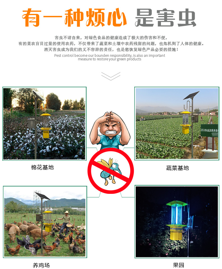 图片31.png