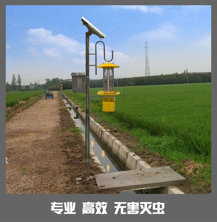 图片35.png